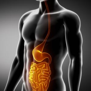 Buspirone does little to improve gastroparesis symptoms