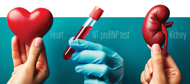 NT-proBNP predicts cardiorenal complications in Chinese patients with T2D
