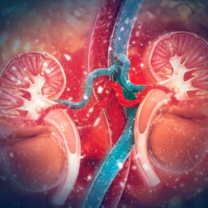 Obinutuzumab + SoC improves renal responses in LN patients