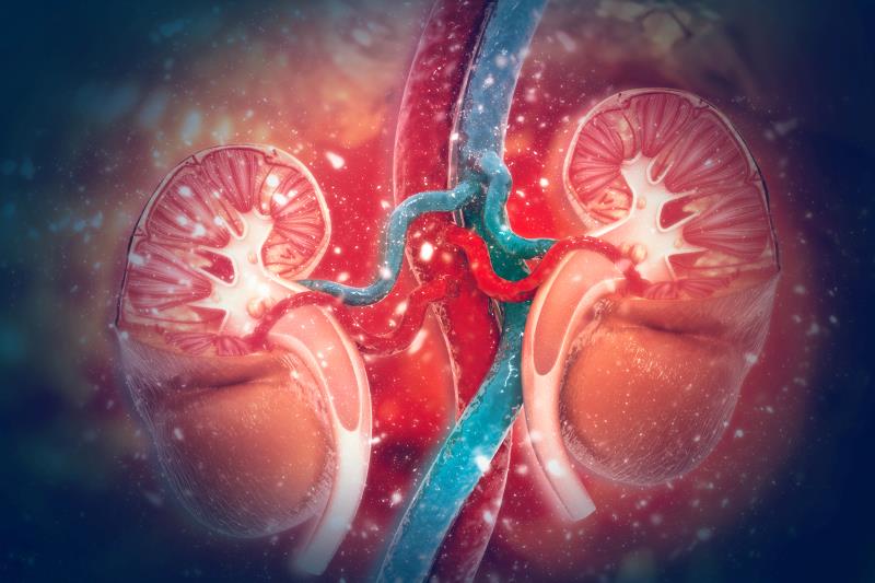 Obinutuzumab + SoC improves renal responses in LN patients