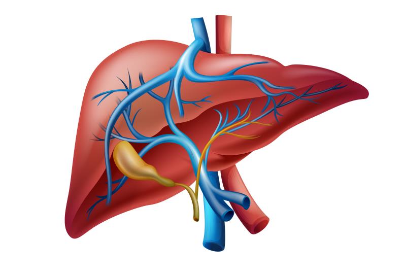 Odevixibat improves pruritus, reduces bile acids in children with ALGS