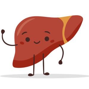 Odevixibat shows rapid, sustained benefits in patients with ALGS