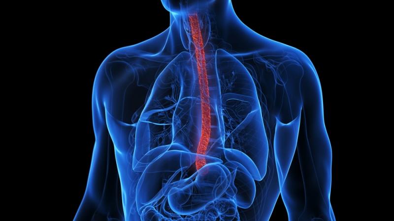 CheckMate 648: Nivo + chemo and nivo + ipi continue to improve OS vs chemo in ESCC at 29-month follow-up