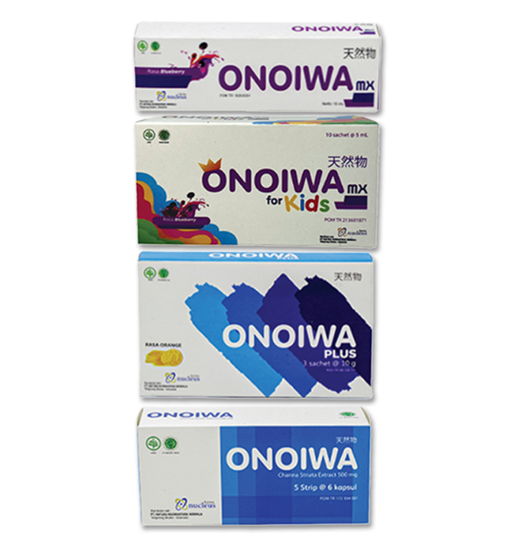 Product Highlight - ONOIWA GROUP