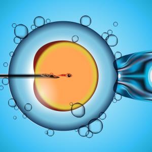 Oocyte microinjection device allows more efficient intracytoplasmic sperm injection