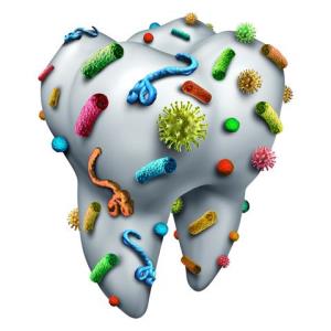 Oral bacteria a risk factor for HNSCC development