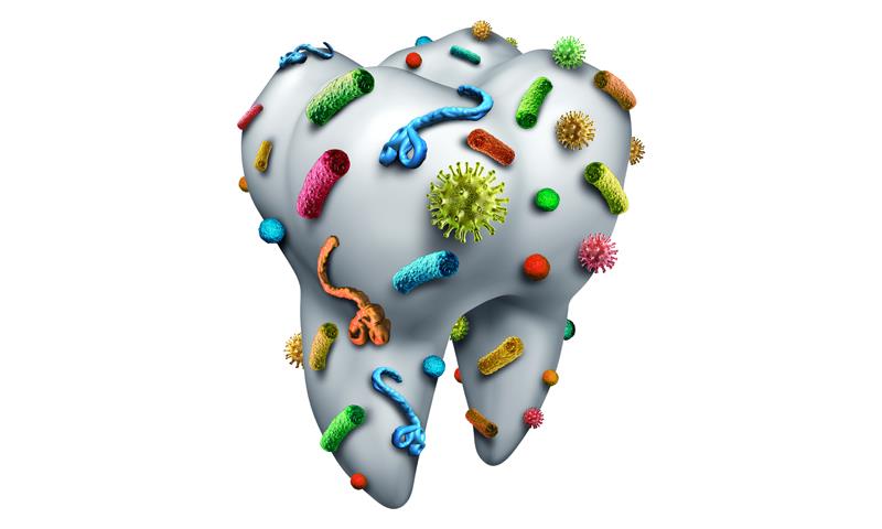 Oral bacteria a risk factor for HNSCC development