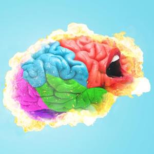Oral, gut flora mainstay tied to stroke risk