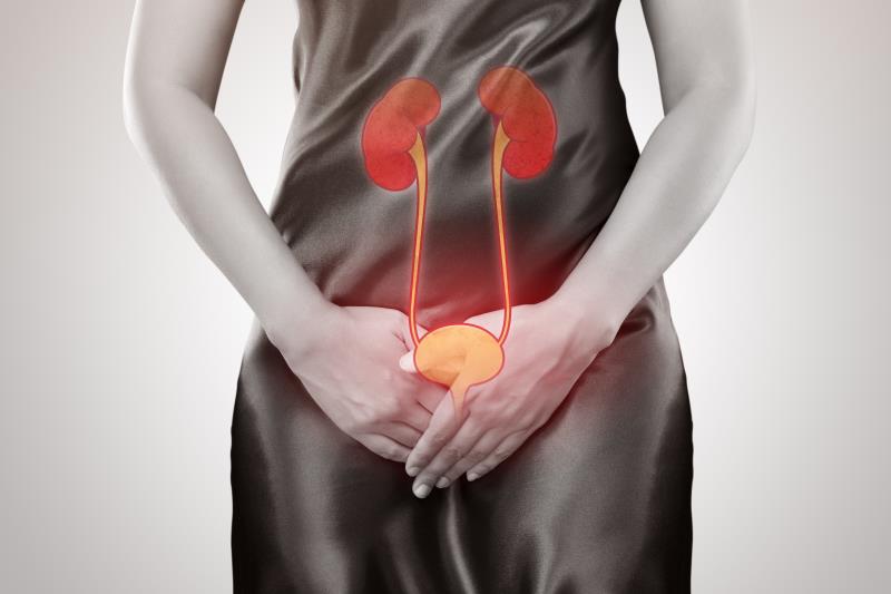 Oral tebipenem prodrug as good as IV ertapenem in stamping out kidney, urinary tract infection