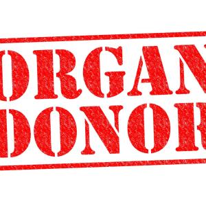 Need more organ donors? Look at emergency departments, says study