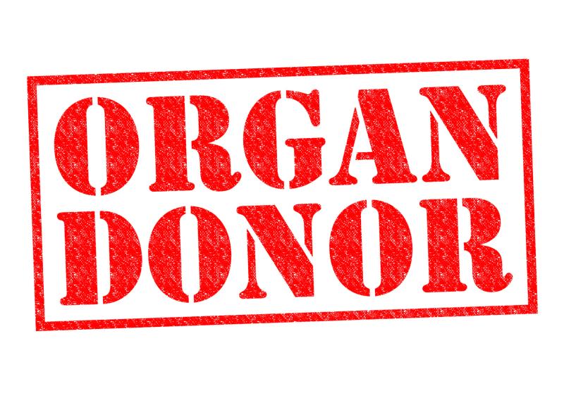 A study on long-term health effects of liver donation showed that even with extended concerns long after the transplant, dono