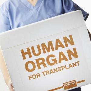 Knowledge of risks, benefits improves care of solid organ transplant recipients