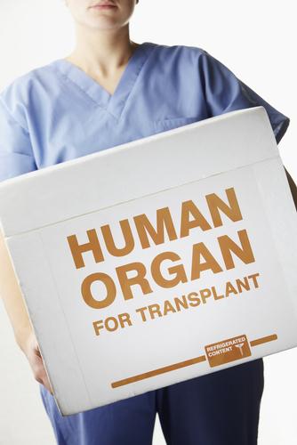 Knowledge of risks, benefits improves care of solid organ transplant recipients