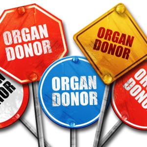 Organ donation in SG: Major hurdles remain despite ‘presumed consent’ law