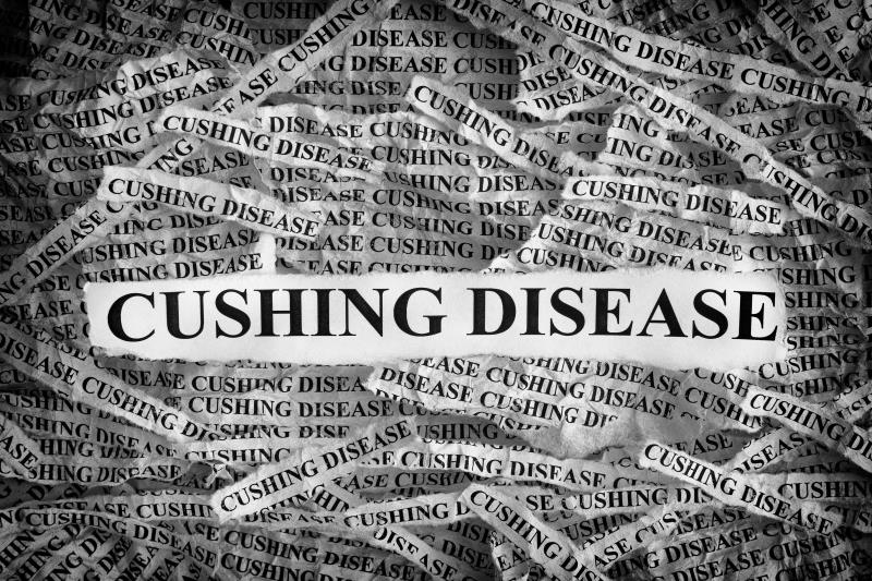 Surgical remission of Cushing’s Disease linked to autoimmune disease