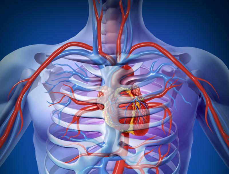 Exercise intensity differently affects coronary atherosclerosis progression