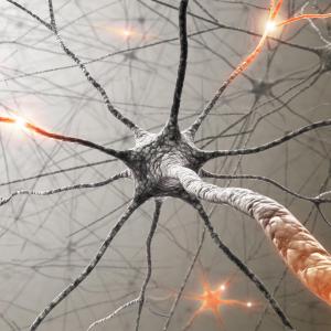 Ofatumumab boasts long-term safety in relapsing multiple sclerosis