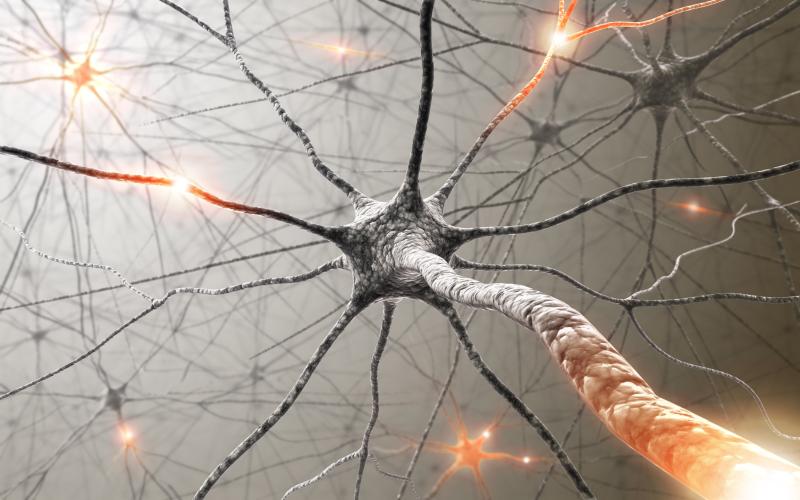 Ofatumumab boasts long-term safety in relapsing multiple sclerosis