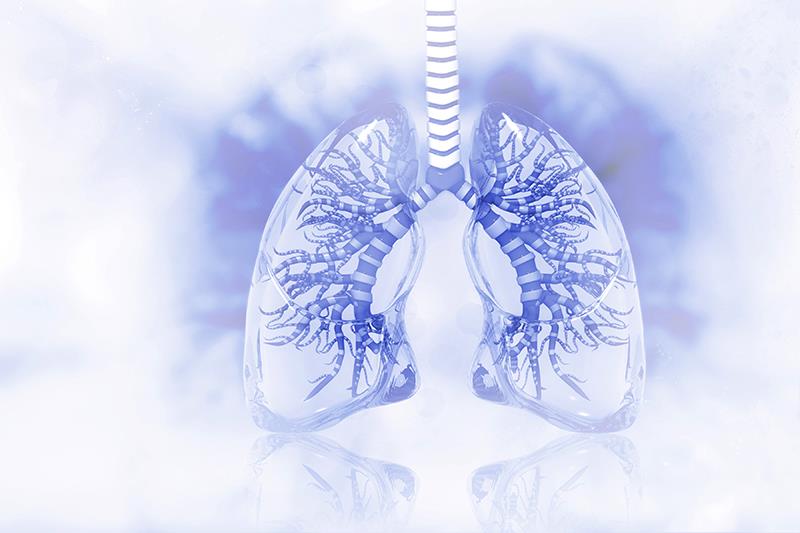 Pamrevlumab fails to show benefit for IPF