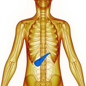 Dip in serum cholesterol tied to higher pancreatic cancer risk