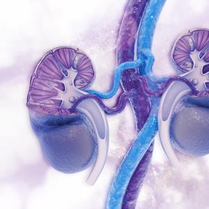 Renal mass biopsy mandate tied to fewer surgeries, greater surveillance