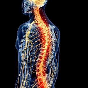 Spinal cord stimulation promising for pain and motor symptoms in Parkinson’s disease