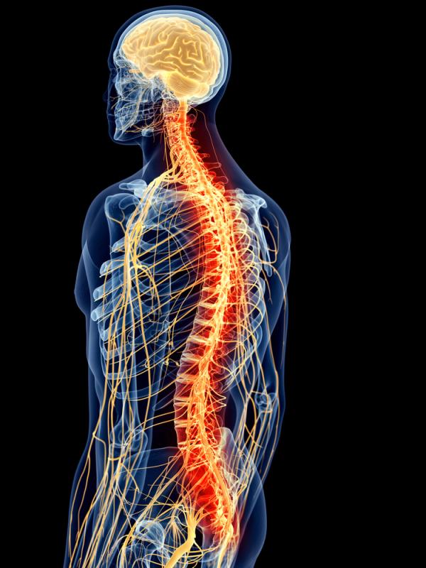 Spinal cord stimulation promising for pain and motor symptoms in Parkinson’s disease