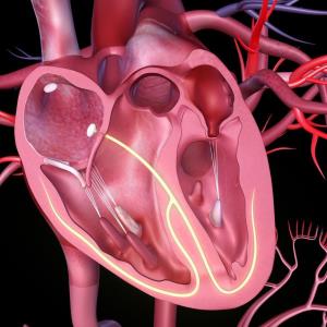 HF drug provides 24-hour BP-lowering effect in Asians with hypertension