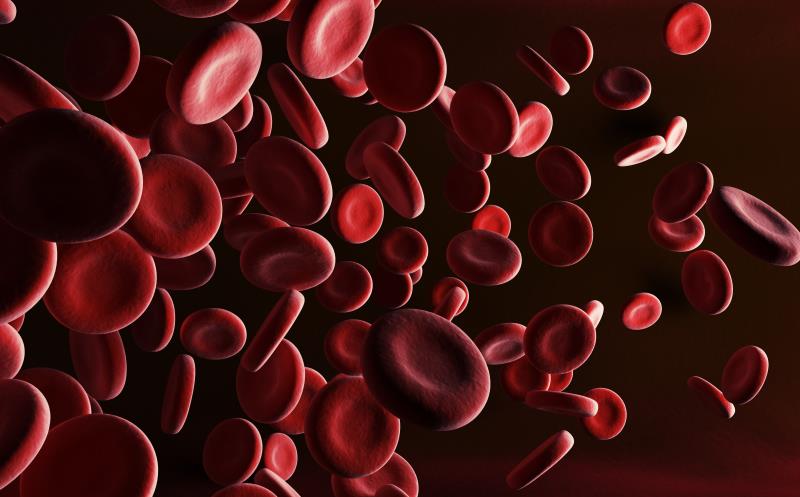 Personalized TAK-660 prophylaxis may prevent bleeds in severe haemophilia A