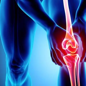 Knee osteoarthritis management
with ESCEO guidelines:
The importance of a multimodal approach