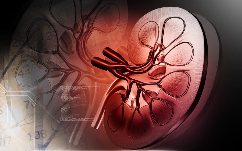 Lumasiran reduces plasma oxalate in advanced PH1