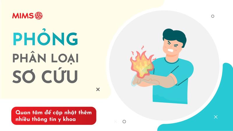 [Infographic] Phỏng: Phân loại và sơ cứu