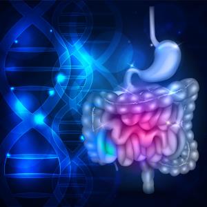 Pimitespib a potential new standard treatment for GIST?