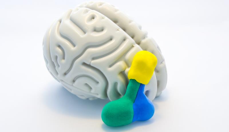 Pituitary TF–based classification improves diagnostic accuracy and prognostication of nonfunctioning PitNETs