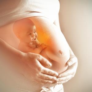 Pre-eclampsia babies have wider arteries