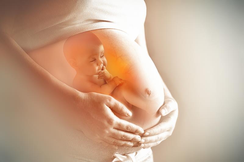 Pre-eclampsia babies have wider arteries