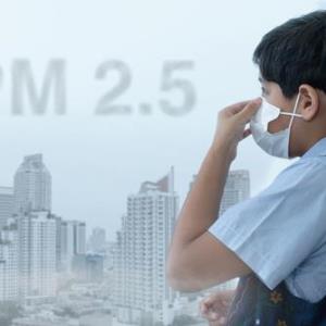 Air pollution ups depression and anxiety risks