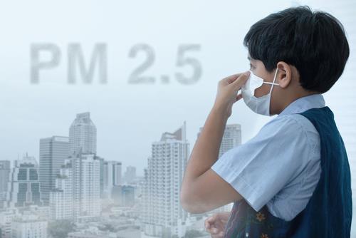 Air pollution ups depression and anxiety risks