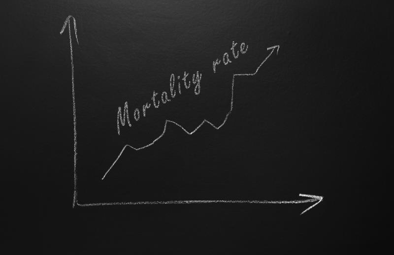 Disease-modifying HF medications can help reduce mortality risk in patients with ADHF