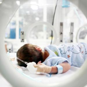 Neurodevelopment in preemies unaffected by diet during early life