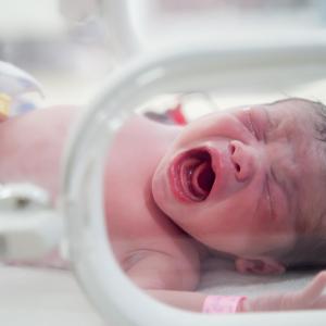 Stool biomarkers useful for predicting necrotizing enterocolitis in preemies