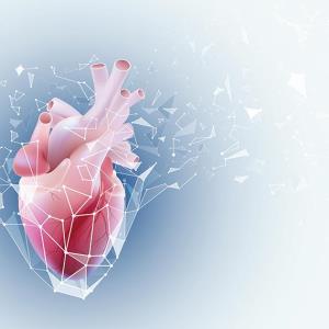 VT ablation reduces ICD therapy, hospitalization for arrhythmia