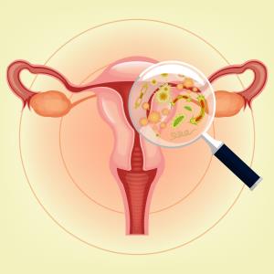 Menopausal hormone therapy may boost beneficial bacteria in vaginal microbial community