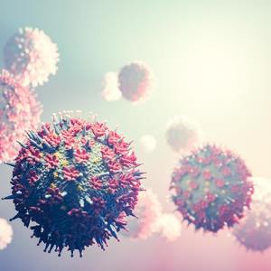 COVID-19 variants carry no increased autoimmune sequelae risk