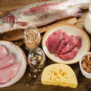 High animal protein intake ups risk of incident kidney stones