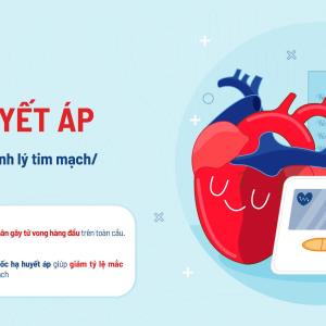 [Infographic] Quản lý tăng huyết áp ở bệnh nhân có bệnh lý tim mạch/điều kiện đi kèm