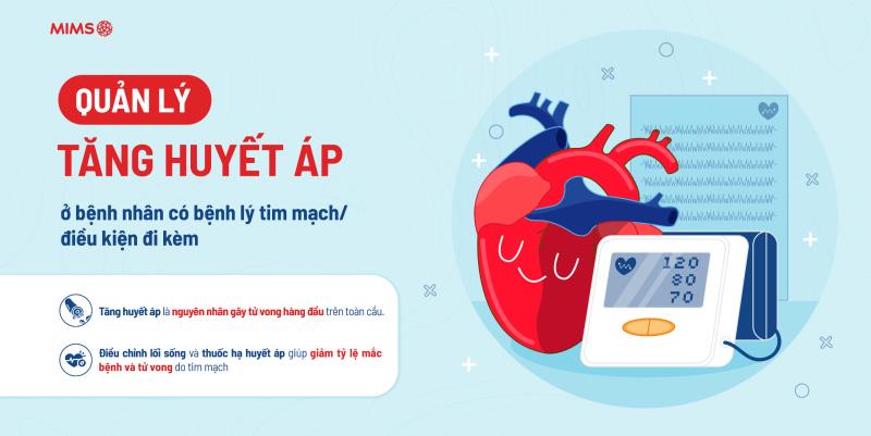 [Infographic] Quản lý tăng huyết áp ở bệnh nhân có bệnh lý tim mạch/điều kiện đi kèm