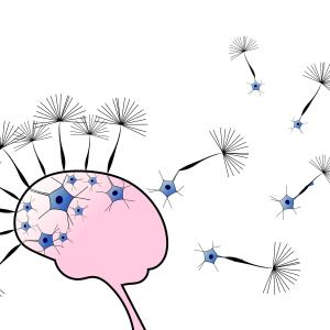 Can losartan delay the progression of AD?