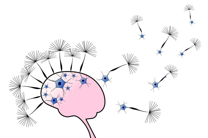 Can losartan delay the progression of AD?