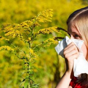 Pollen count rise triggers urological chronic pelvic pain syndrome flares